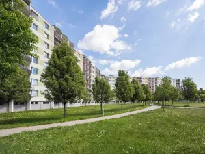 Pronájem bytu 2+1, Brno, Schwaigrova, 57 m2