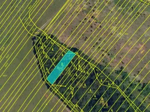 Prodej lesa, Silůvky, 462 m2