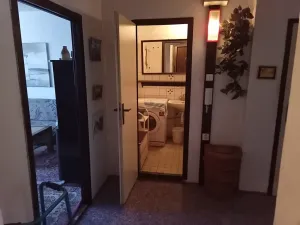 Prodej bytu 3+1, Velké Hamry, 75 m2