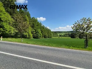 Prodej pozemku pro bydlení, Borová, 7429 m2