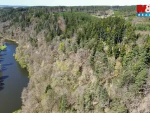 Prodej lesa, Řepeč, 39640 m2