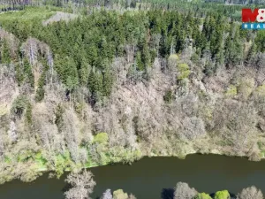 Prodej lesa, Řepeč, 39640 m2