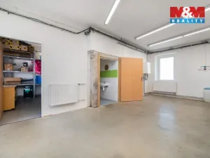 Pronájem výrobních prostor, Albrechtice, 98 m2