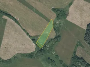 Prodej louky, Pačejov, 13638 m2