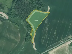 Prodej pole, Bor, 28170 m2