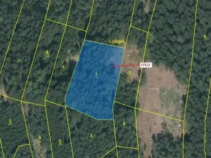 Dražba lesa, Psárov, 4568 m2