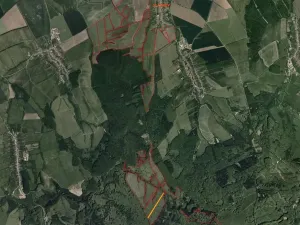 Dražba louky, Slavkov, 8978 m2