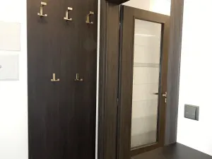 Pronájem bytu 1+kk, Brno, Kučerova, 26 m2