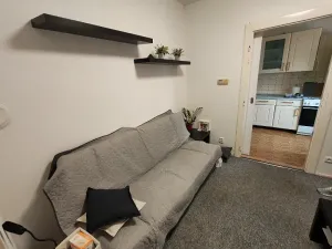 Pronájem bytu 2+1, Prostějov, Fügnerova, 56 m2