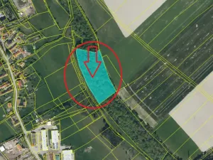 Prodej podílu lesa, Řepníky, 4901 m2