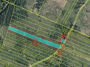 Prodej podílu lesa, Nová Hradečná, 2498 m2