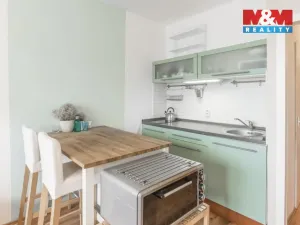 Prodej bytu 1+kk, Praha - Braník, Nad lesním divadlem, 27 m2