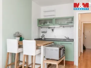 Prodej bytu 1+kk, Praha - Braník, Nad lesním divadlem, 27 m2
