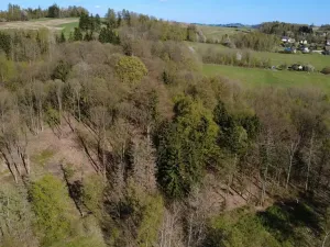 Prodej lesa, Loužnice, 5723 m2