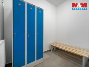 Pronájem výrobních prostor, Albrechtice, 328 m2