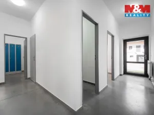 Pronájem výrobních prostor, Albrechtice, 328 m2