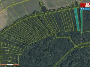 Prodej lesa, Přerov nad Labem, 70048 m2