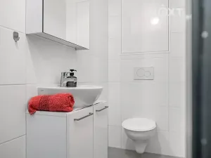 Prodej bytu 1+1, Brno, Karla Kryla, 31 m2