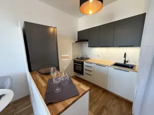 Pronájem bytu 2+kk, Praha - Kyje, Pelušková, 49 m2