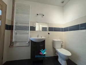 Pronájem bytu 1+kk, Ústí nad Labem, Bratislavská, 45 m2