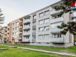 Prodej bytu 2+kk, Ostrava - Hrabůvka, Krestova, 38 m2