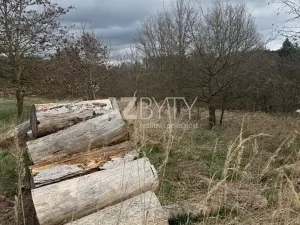 Prodej rodinného domu, Vlastec, 320 m2