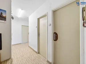 Prodej bytu 2+1, Olomouc, Wolkerova, 60 m2