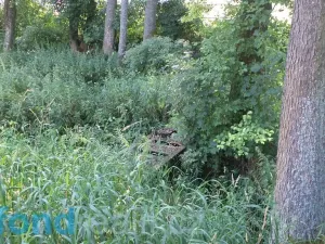 Prodej pozemku, Staré Buky, 154 m2