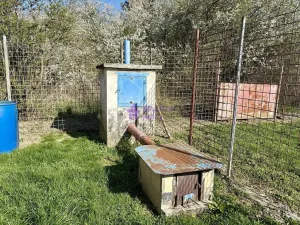 Pronájem zahrady, Olomouc - Hodolany, 1636 m2