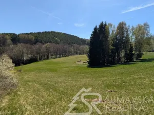 Prodej pozemku, Hartmanice - Chlum, 46489 m2