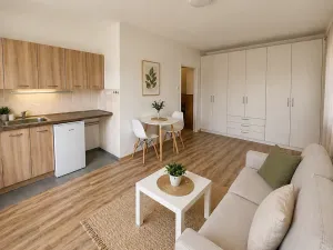 Pronájem bytu 1+kk, Frýdek-Místek, Slezská, 23 m2