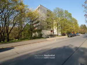 Prodej bytu 3+kk, Brno - Lesná, Nejedlého, 80 m2