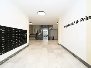 Pronájem bytu 1+kk, Praha - Vršovice, Kubánské náměstí, 19 m2