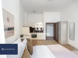 Pronájem bytu 1+kk, Praha - Karlín, Prvního pluku, 25 m2