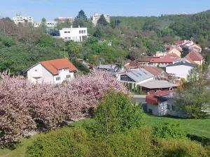 Pronájem bytu 2+1, Brno, Výletní, 53 m2