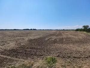 Prodej pozemku pro bydlení, Horka nad Moravou, 43000 m2