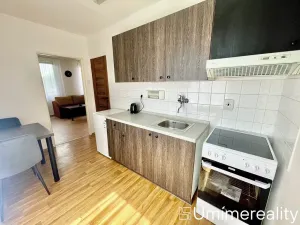 Pronájem bytu 1+1, Mladá Boleslav, Zalužanská, 42 m2