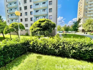 Pronájem bytu 1+1, Mladá Boleslav, Zalužanská, 42 m2