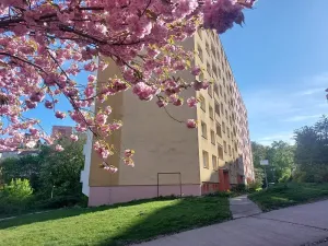 Pronájem bytu 2+1, Brno, Výletní, 53 m2