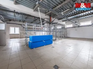 Pronájem obchodního prostoru, Příbram - Příbram VI-Březové Hory, K Podlesí, 326 m2