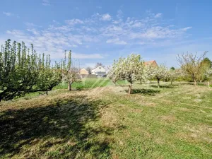 Prodej pozemku pro bydlení, Brázdim, 541 m2