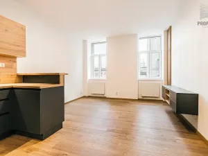 Pronájem bytu 2+kk, Brno, Stavební, 56 m2