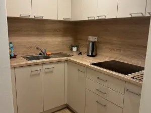 Prodej - jiné, Lopeník, 113 m2