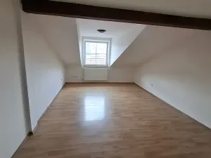 Pronájem bytu 4+kk, Plzeň, Přemyslova, 180 m2