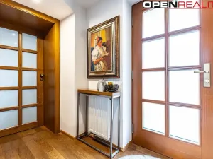 Prodej vícegeneračního domu, Dolní Bojanovice, Vinařská, 367 m2