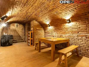 Prodej vícegeneračního domu, Dolní Bojanovice, Vinařská, 367 m2