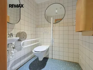 Pronájem obchodního prostoru, Plzeň, Americká, 210 m2