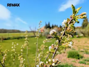 Prodej zahrady, Tuněchody, 1715 m2