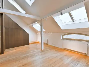 Pronájem bytu 3+1, Praha - Bubeneč, U akademie, 169 m2