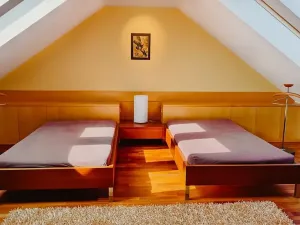 Prodej rodinného domu, Hradec Králové, Petra Jilemnického, 950 m2